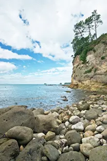 Tilley: New Zealand, North Island, Coromandel Peninsula