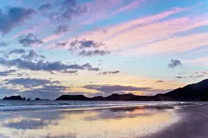 Tilley: New Zealand, North Island, Coromandel Peninsula