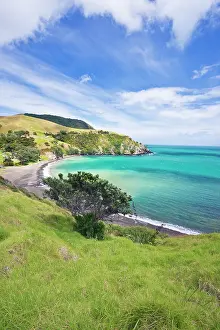 Tilley: New Zealand, North Island, Coromandel Peninsula