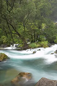Whitewater: New Zealand, North Island, Eastern Bay of