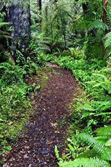 Fredrik: New Zealand, Otago, Catlins, Papatowai