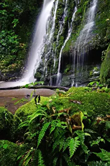 Fredrik: New Zealand, Otago, Catlins. Views along