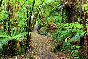 Fredrik: New Zealand, Otago, Catlins. Views along