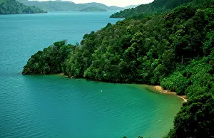 Sounds: New Zealand - Queen Charlotte Sound Marlborough Sounds