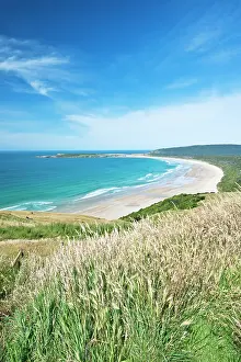 Inlet: New Zealand, South Island, Catlins, Tautuku