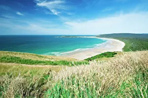 Inlet: New Zealand, South Island, Catlins, Tautuku