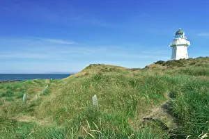 Catlins: New Zealand, South Island, Catlins, Waipapa