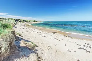 Catlins: New Zealand, South Island, Catlins, Waipapa