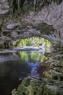 Oparara: New Zealand, South Island, Kahurangi National