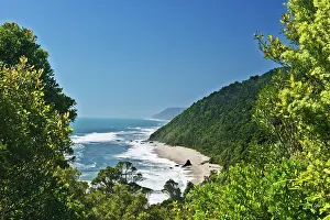 Tasman: New Zealand, South Island, Kahurangi National