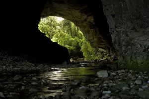 Fredrik: New Zealand, South Island, Karamea. Opara