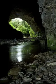 Fredrik: New Zealand, South Island, Karamea. Opara