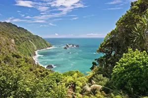 Tasman: New Zealand, South Island, near Haast, Knight's