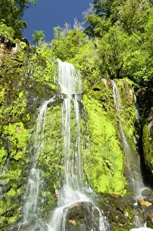 Walkway: New Zealand, South Island, Ngakawau. Mangatini