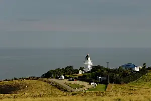 Moeraki: New Zealand, South Island, Otago, Katiki