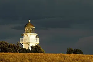 Fredrik: New Zealand, South Island, Otago, Katiki