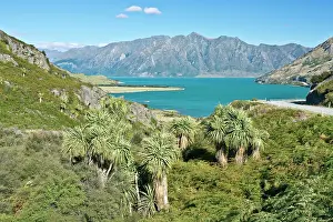Wanaka: New Zealand, South Island, Otago, Lake Wanaka
