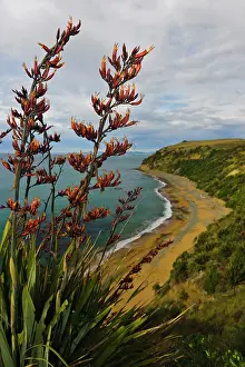 Fredrik: New Zealand, South Island, Otago, Omaru