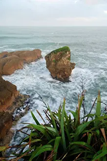 Pancake: New Zealand, South Island, Paparoa National