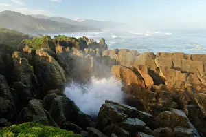 Pancake: New Zealand, South Island, Paparoa National