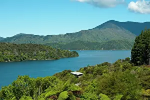 Sounds: New Zealand, South Island: Scenic landscape