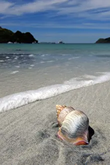 Stewart: New Zealand, Southland, Stewart Island