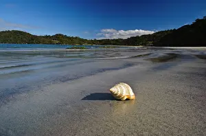 Stewart: New Zealand, Southland, Stewart Island