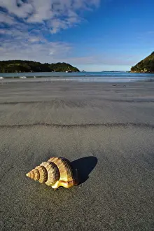 Oban: New Zealand, Southland, Stewart Island