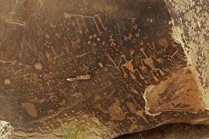 Inhabiting: Newspaper Rock petroglyphs