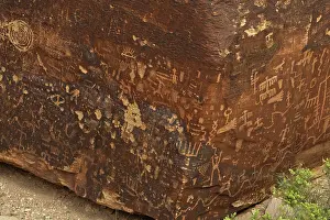 Inhabiting: Newspaper Rock petroglyphs