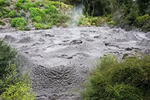 Geysers: Ngamokaiakoko mud pools. Te Puia Whakarewarewatanga