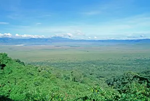 Craters: Ngorongoro Conservation Zone, Ngorongoro Crater