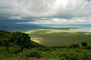 Craters: Ngorongoro Crater - view from the rim