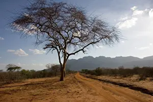 Ngulia: Ngulia escarpment in Tsavo West National Park