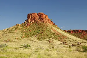Feature: Ngumban Cliff, Great Northern Highway, near