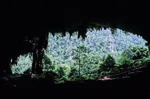 Sarawak: Niah Great Cave, Sarawak, Malaysia
