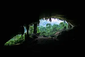 Sarawak: Niah Great Cave, Sarawak, Malaysia
