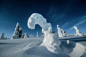 Posio: Night shot with starry sky in winter, snow-covered