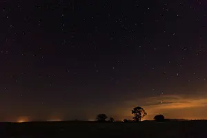 Alentejo: Night Sky - with stars and tree silhouettes beside