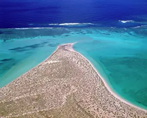 Ningaloo: Ningaloo Reef - Ningaloo Marine Park