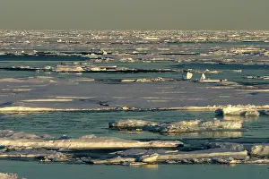 Spitzberg: Nord Svalbard - Spitzberg - Pack Ice