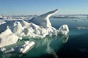 Spitzberg: Nord Svalbard - Spitzberg - Pack Ice