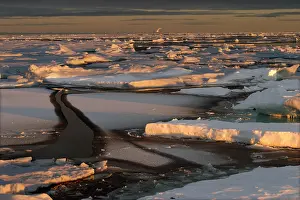 Spitzberg: Nord Svalbard - Spitzberg - Pack Ice