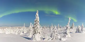 Astronomy: Nordlicht Finnland