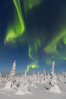 Astronomy: Nordlicht Finnland