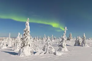 Astronomy: Nordlicht Finnland