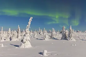 Astronomy: Nordlicht Finnland