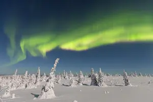 Astronomy: Nordlicht Finnland