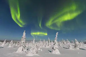 Astronomy: Nordlicht Finnland