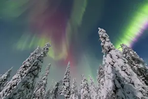 Astronomy: Nordlicht Finnland